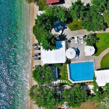 Acrotel Athena Villa Ελιά Εξωτερικό φωτογραφία